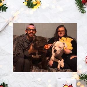 Meet your Posher, Jonas